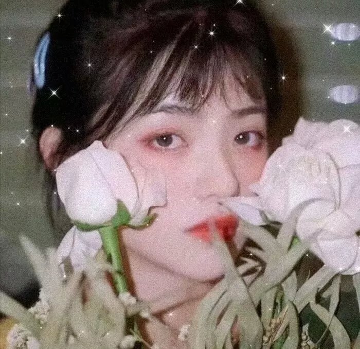 你好安妮